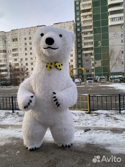 Поздравление от мишки
