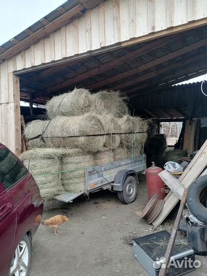 Продам сено, солому в мини рулонах