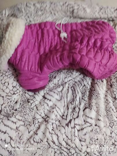 Комбинезон для маленькой собачки зима