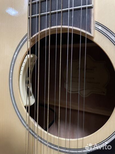 12 струнная электроакустика. Массив. LR Baggs