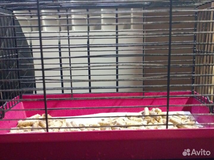 Клетка для грызунов бу