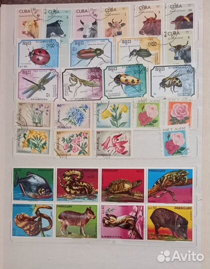 Почтовые марки из коллекции (Флора-Фауна)