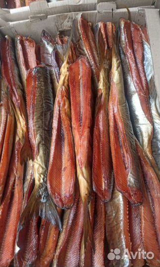 Рыба горячего и холодного копчения