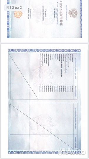 Репетитор по русскому языку 1-11 кл