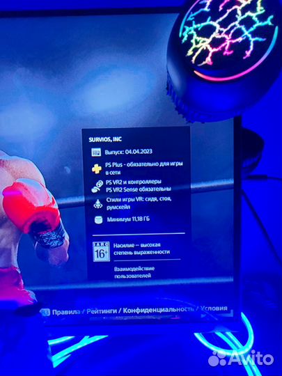 Creed: Rise to Glory PS4/PS5 VR/VR2