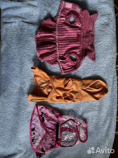 Одежда для собак