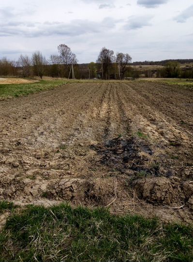 Участок 15 сот. (ИЖС)