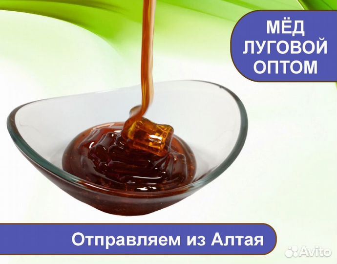 Алтайский мёд 2023 г (опт.)