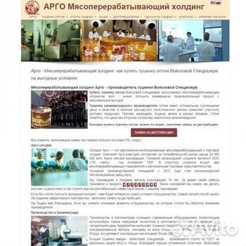 WEB Программист. Разработка и продвижение сайтов