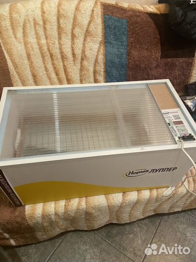 Инкубатор матрица дели