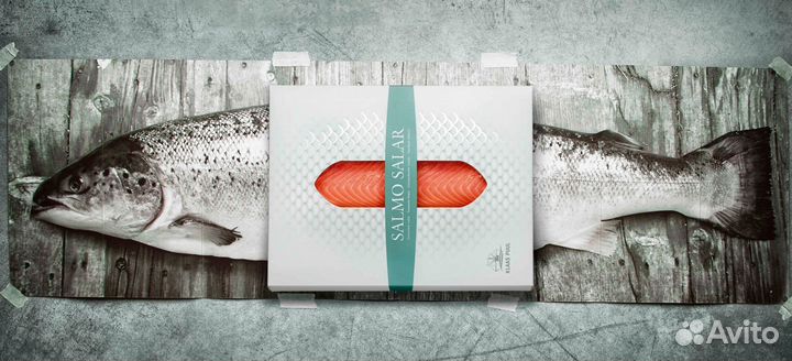 Упаковщик рыбы/г. Вязьма/Вахта