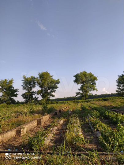 Участок 72 сот. (СНТ, ДНП)