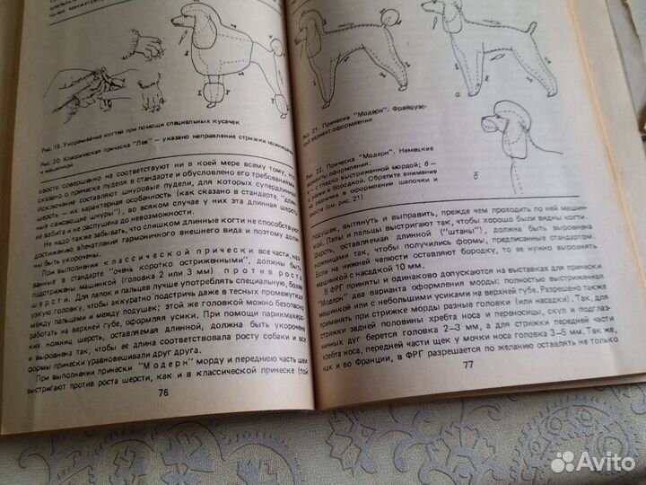 Литература о собаках почти все