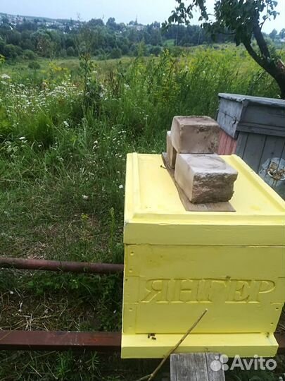 Улей янгер из ппу на 10 и 16 рамок