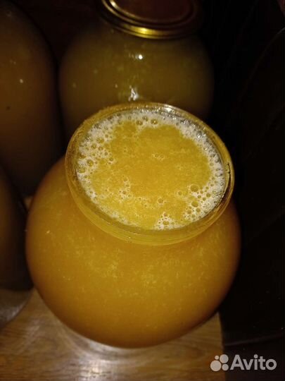 Мед кореандр