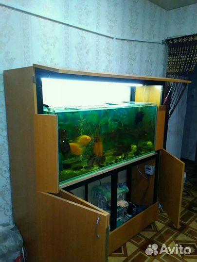 Аквариумный комплекс