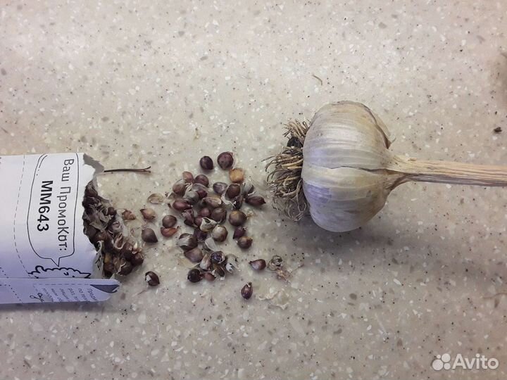 Семена чеснока