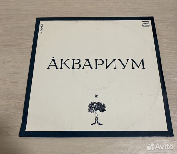 Новые виниловые пластинки мелодия