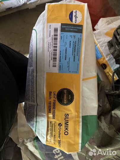 Семена подсолнечника и кукурузы