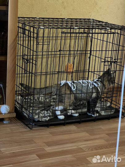 Вольер(клетка) для животных