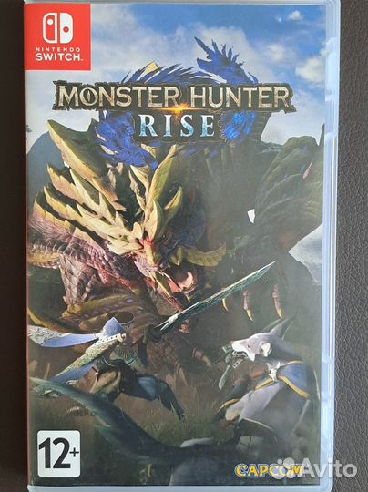 Monster hunter rise