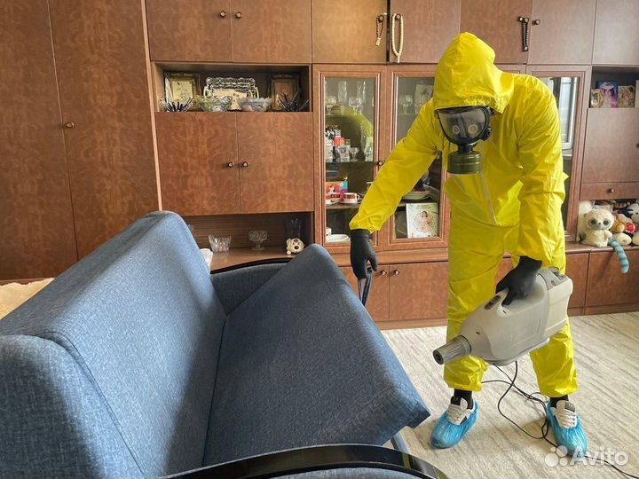 Уничтожение тараканов клопов дезинфекция