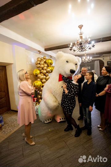 Ведущая, музыканты, проведение свадьбы, юбилея