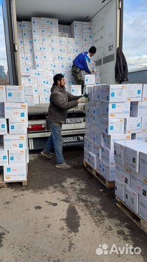 Перчатки одноразовые Wally Plastic опт