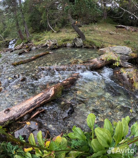 Архыз в ноябре