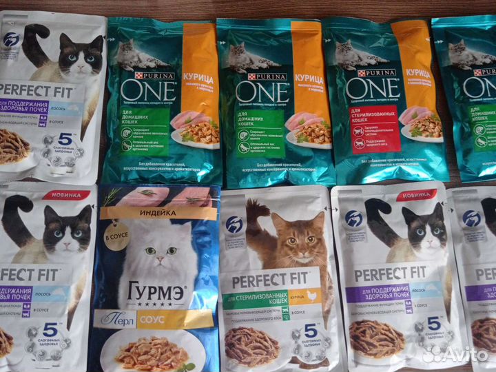 Кошачий корм влажный