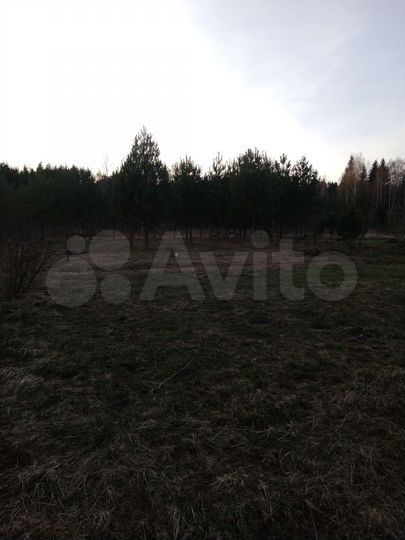 Участок 11,3 сот. (СНТ, ДНП)