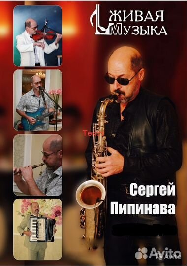 Музыкант (вокал, скрипка, саксофон, гитара, дудук)