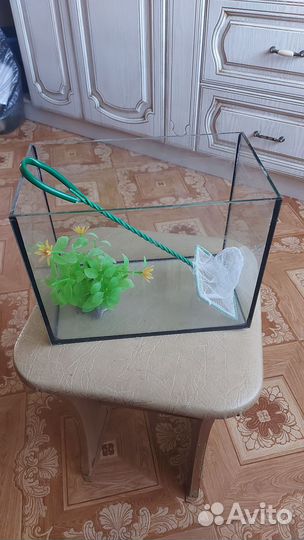 Аквариум