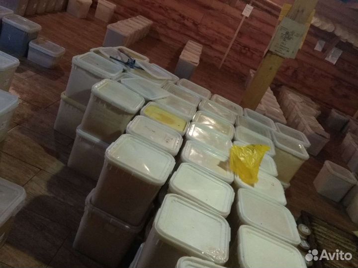 Мёд из подсолнуха оптом