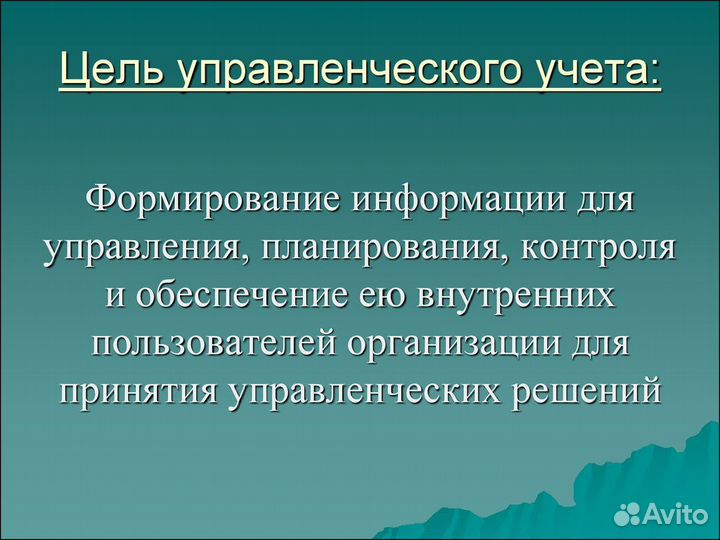 Финансовый директор. Управленческий учет