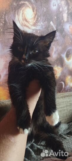 Сос помогите