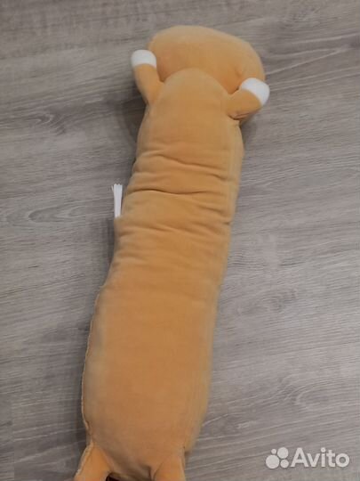 Кот сосиска