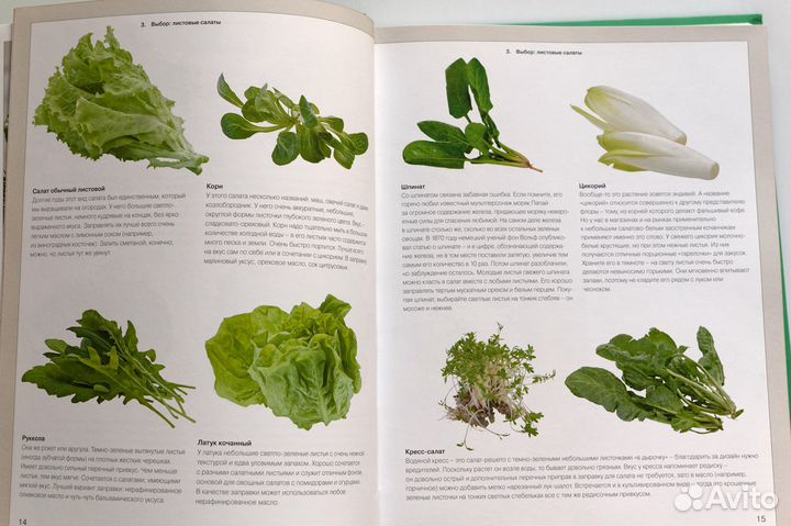 Книга гастронома. Про салаты. новая