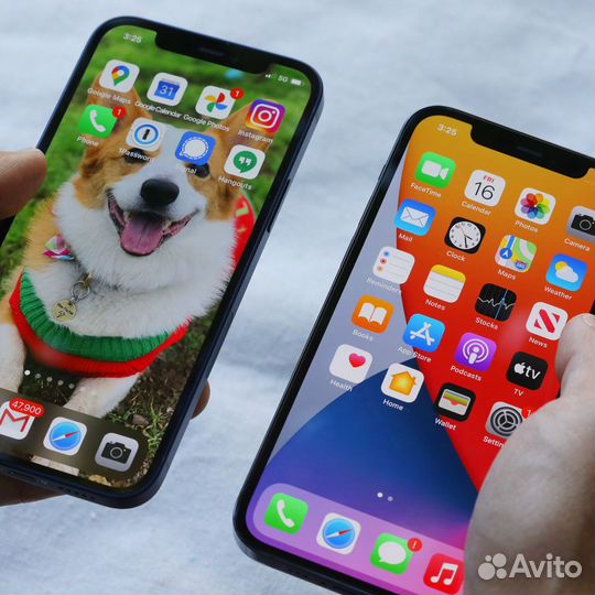 Замена экрана iPhone, все модели. Гарантия