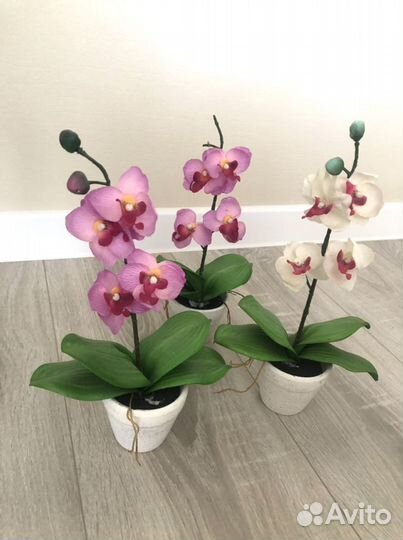 Орхидея фаленопсис. Искуственные)