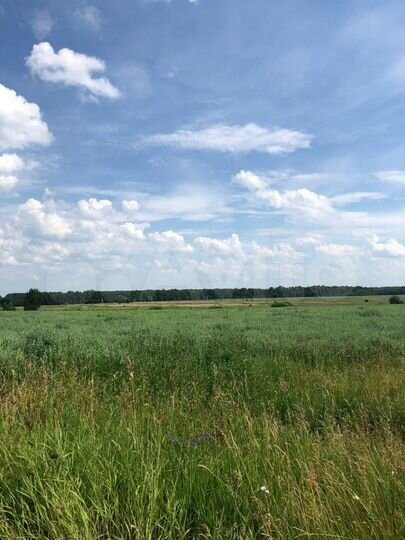 Участок 31 сот. (ИЖС)