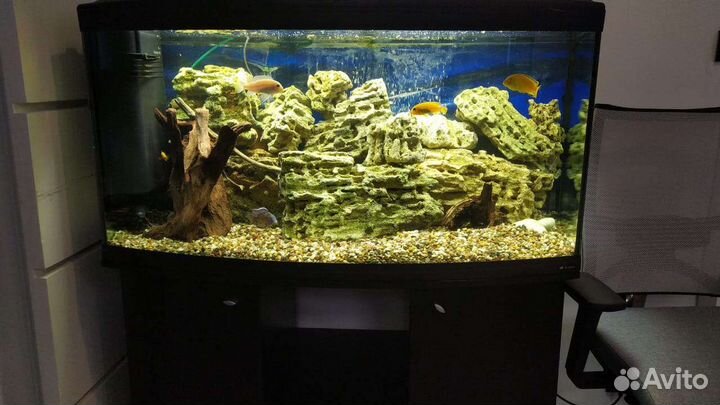 Чистка аквариума