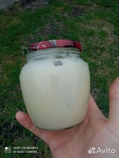 Мед рапсовый 2023