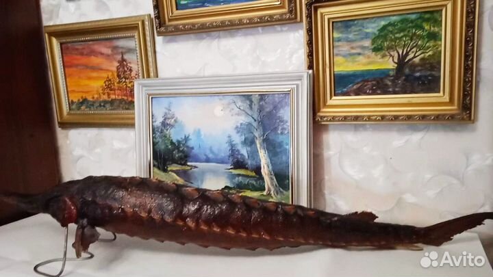 Чучело рыбы