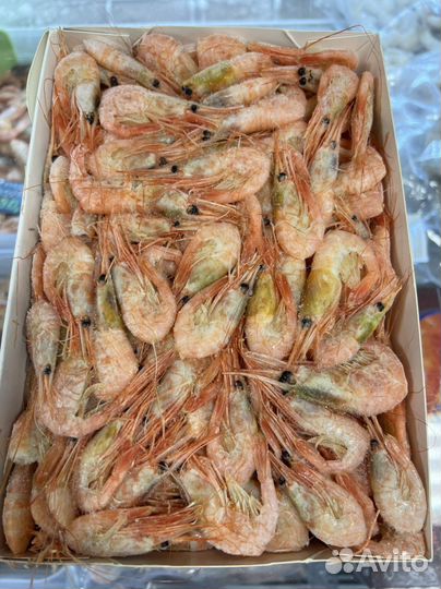 Креветка углохвостая. Сухая заморозка