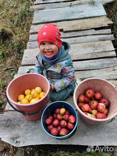 Няня для ребенка