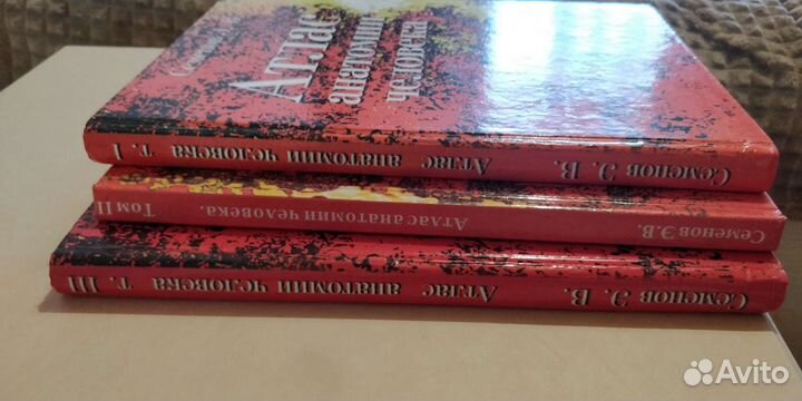 Атлас анатомии человека Семёнов Э.В