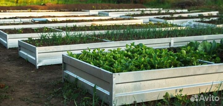 Грядка темно-зеленая 1м х 6м х 22см