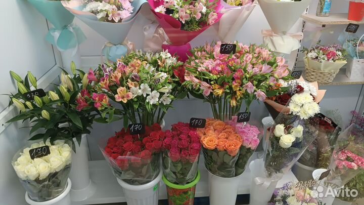 Альстромерия