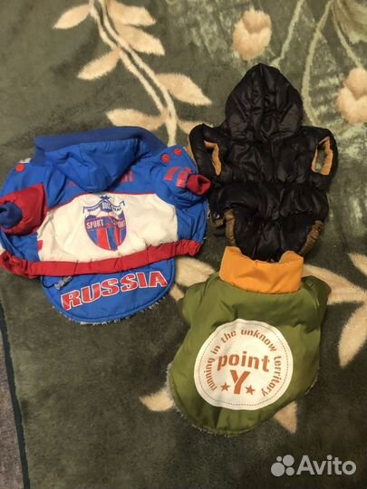 Вещи для собаки